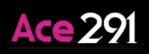 ACE291